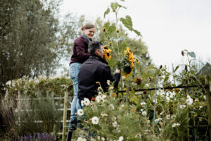 Meneer en mevrouw plukken een hoge zonnebloem