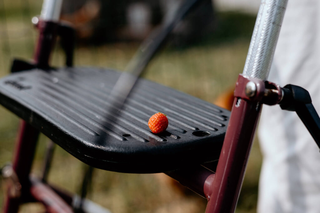 De oogst op de zorgboerderij is één aardbei die nu op de rollator ligt