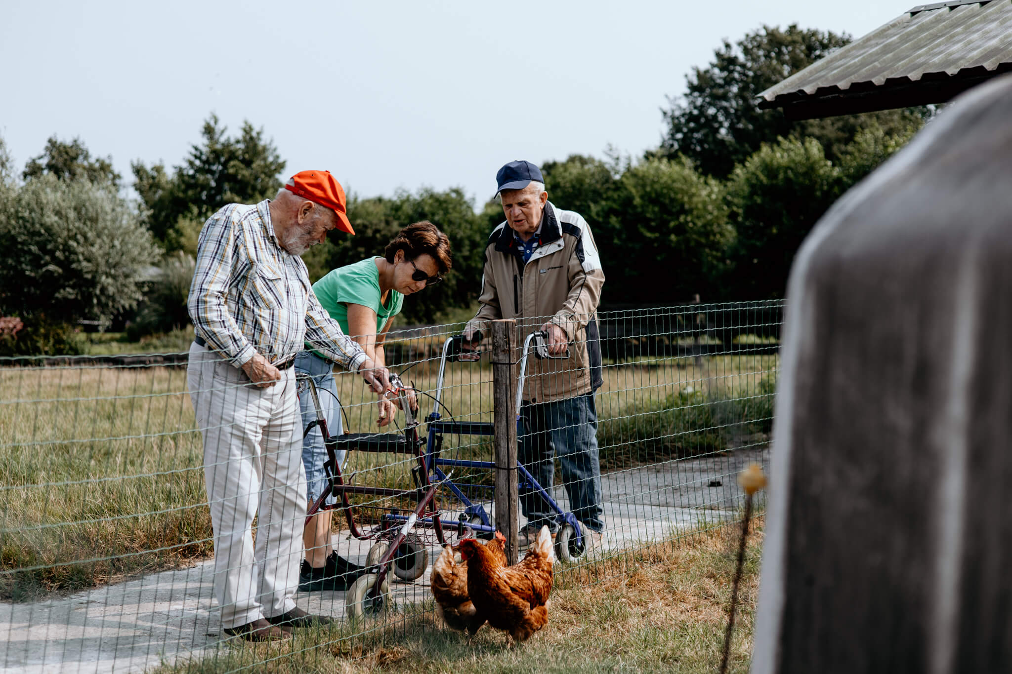 Twee ouderen en een zorgverlener kijken naar de kippen